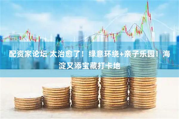 配资家论坛 太治愈了！绿意环绕+亲子乐园！海淀又添宝藏打卡地